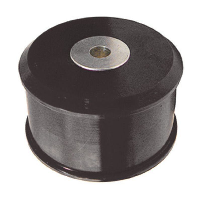 Prothane 02-06 Nissan Sentra SE-R Front Motor Mount Insert - Black