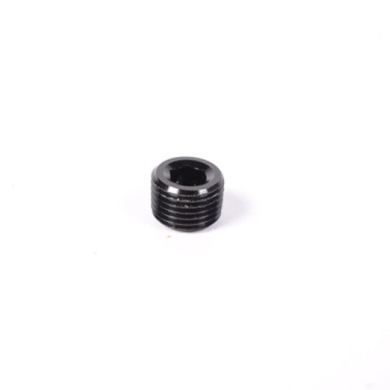Radium Engineering 1/8in NPT Plug