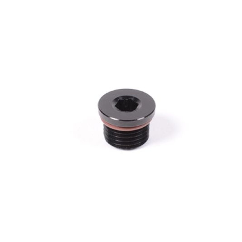 Radium Engineering 6AN ORB Plug